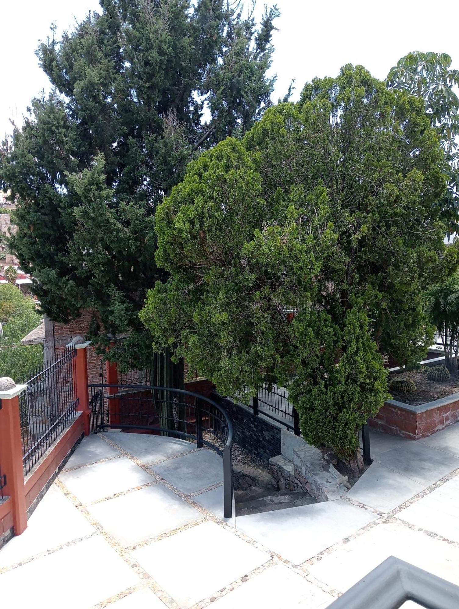 Quinta Mercedes Guanajuato Zewnętrze zdjęcie