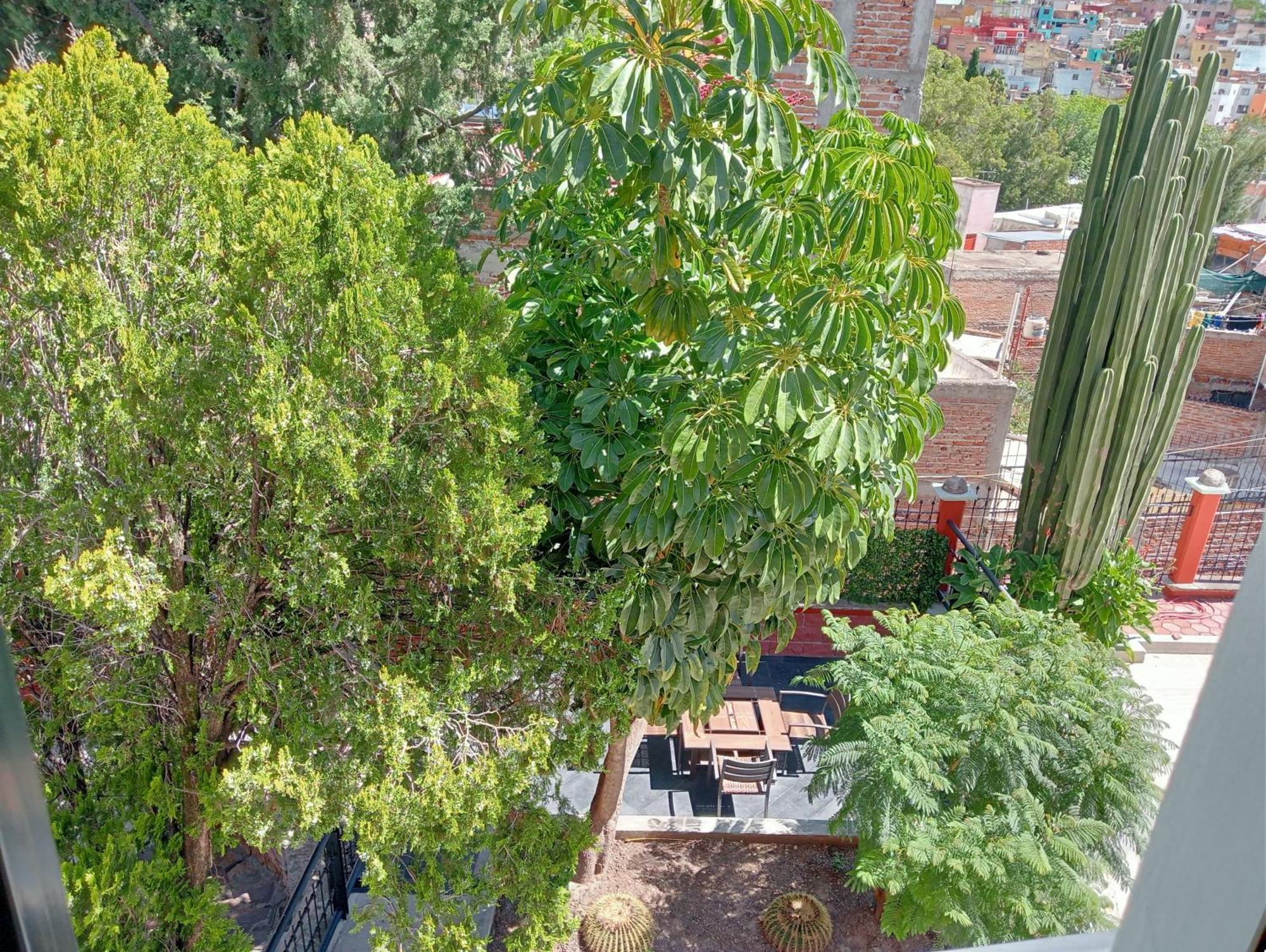 Quinta Mercedes Guanajuato Zewnętrze zdjęcie