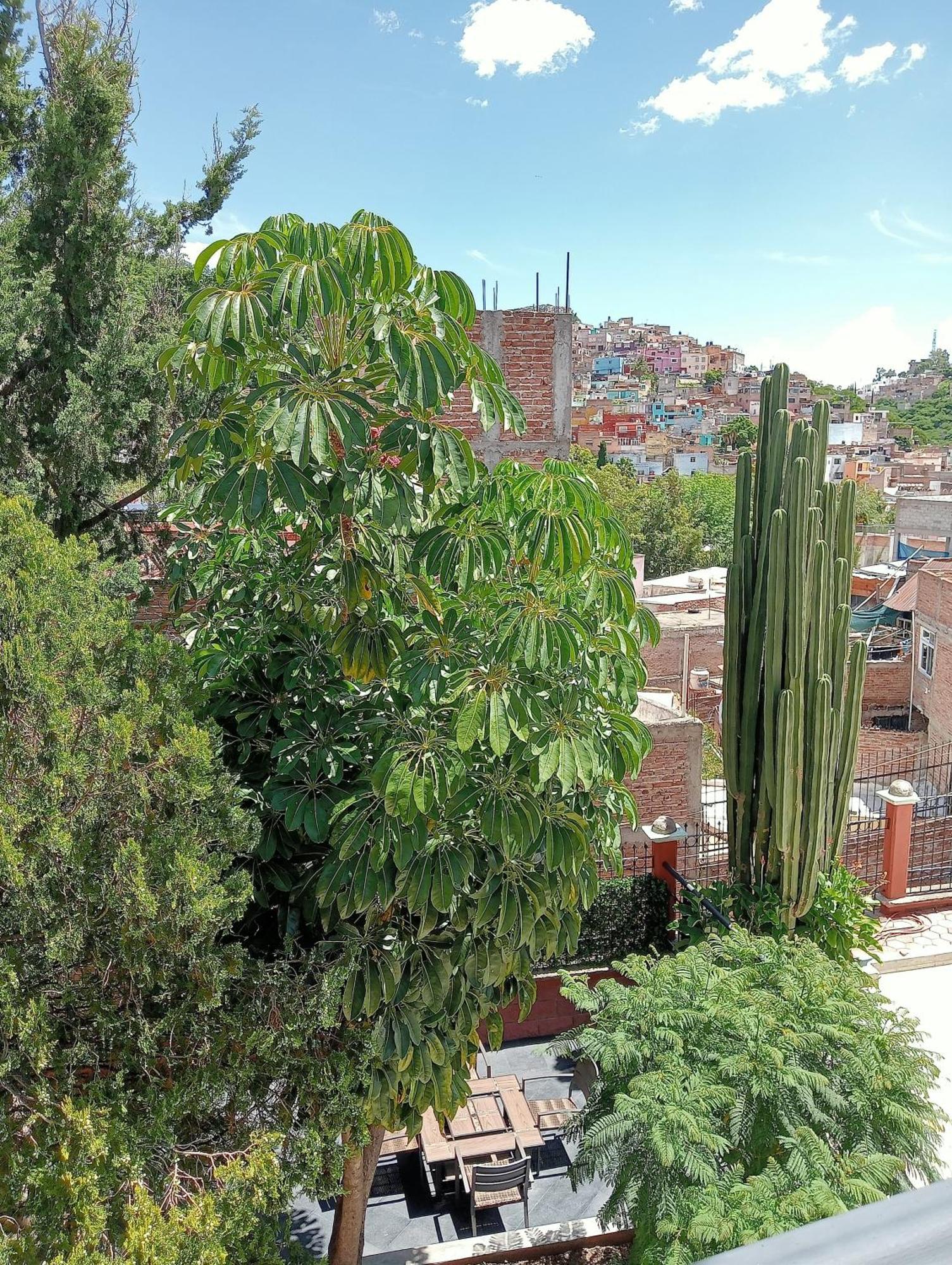 Quinta Mercedes Guanajuato Zewnętrze zdjęcie